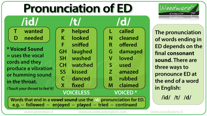 Regular Past Tense Verb Pronunciation Rules